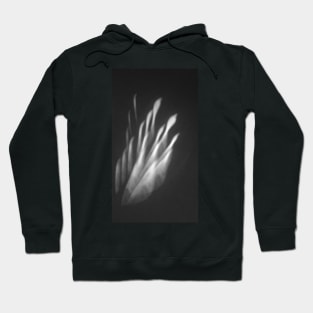 Transparent Feather Hoodie